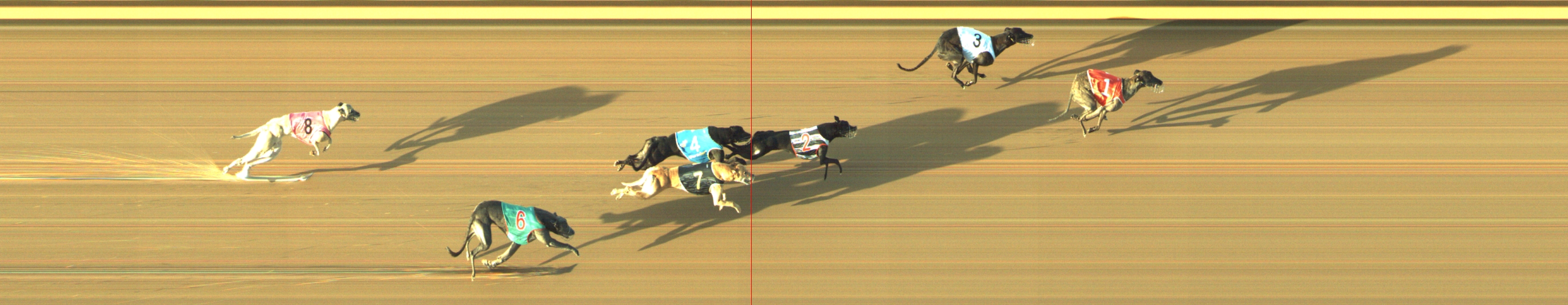 Photo finish for Geelong Race 13