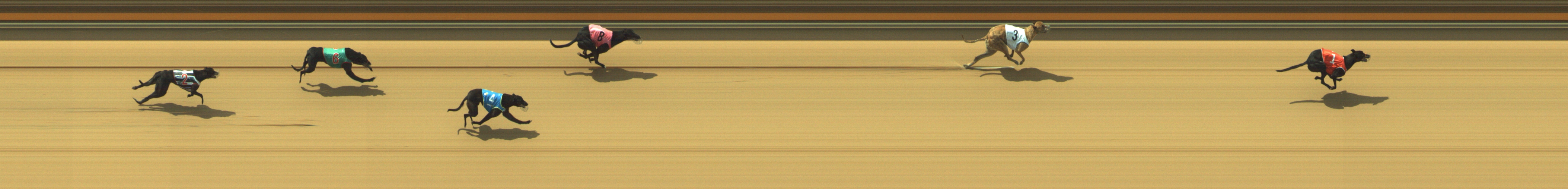 Photo finish for Geelong Race 2
