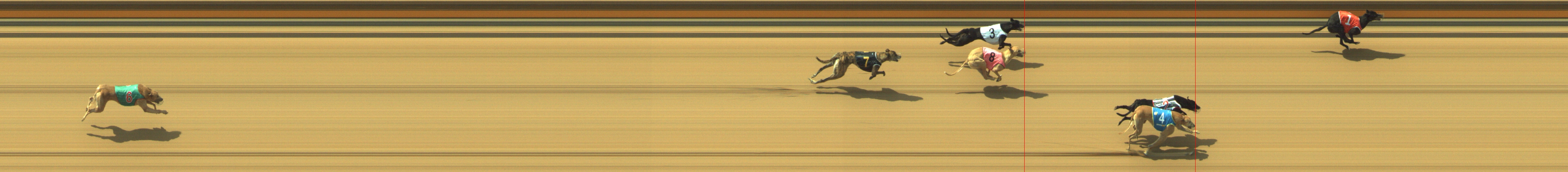 Photo finish for Geelong Race 3