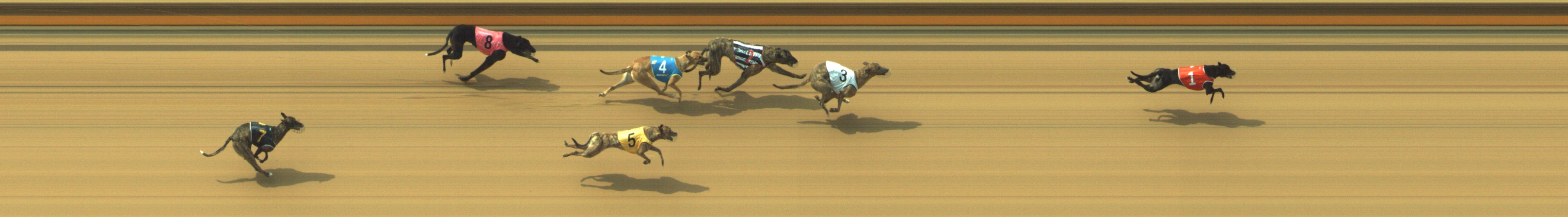 Photo finish for Geelong Race 4