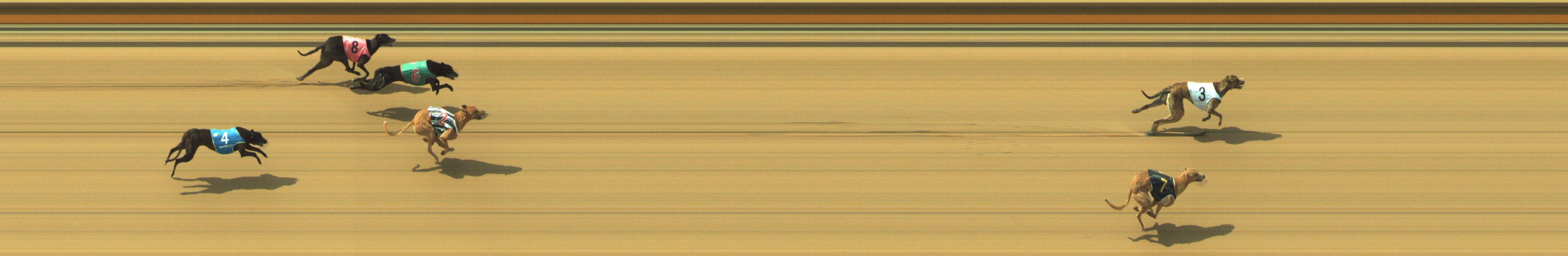Photo finish for Geelong Race 5