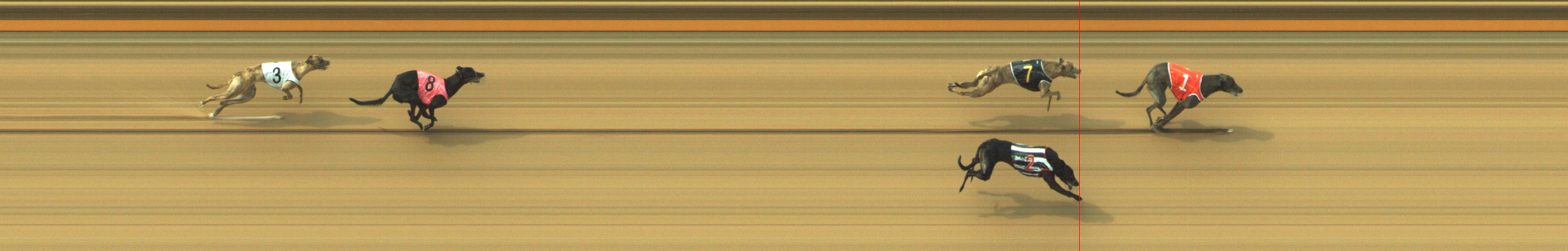 Photo finish for Geelong Race 6