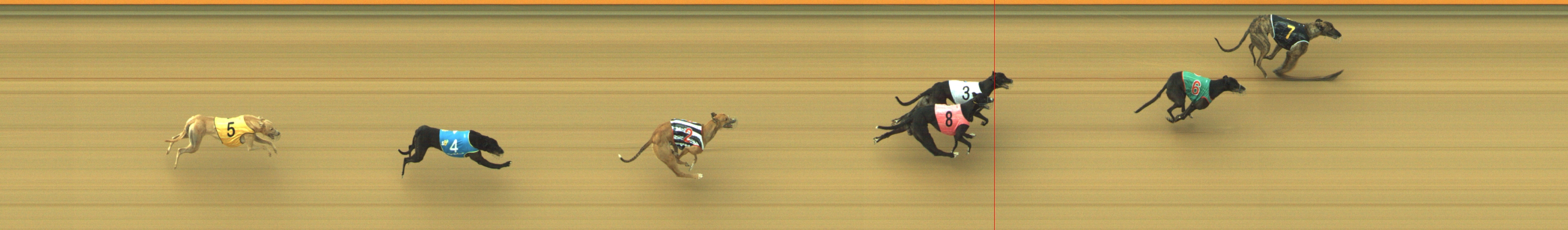 Photo finish for Geelong Race 7