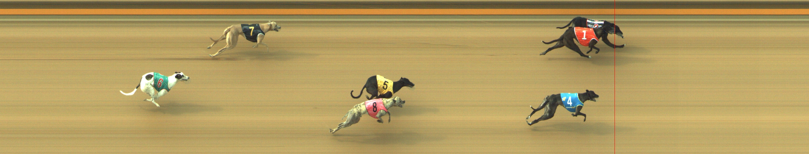 Photo finish for Geelong Race 8