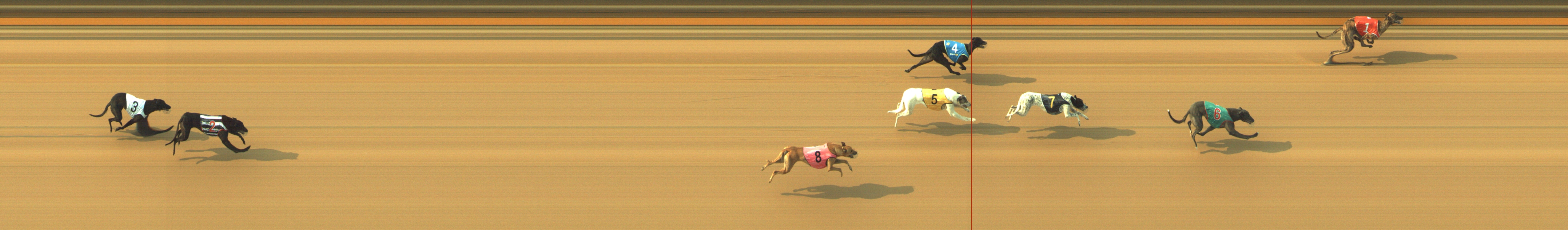 Photo finish for Geelong Race 9