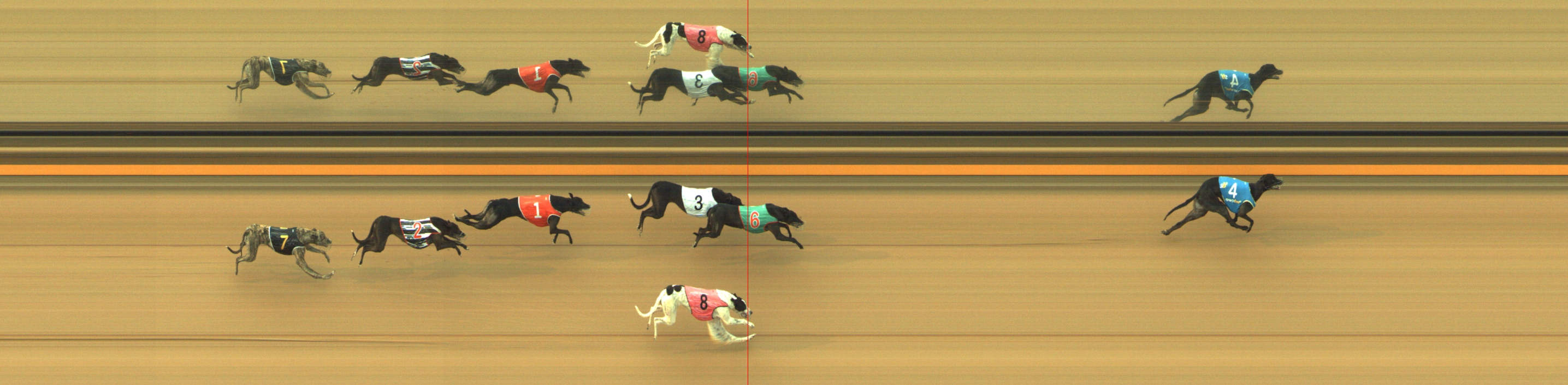 Photo finish for Geelong Race 10