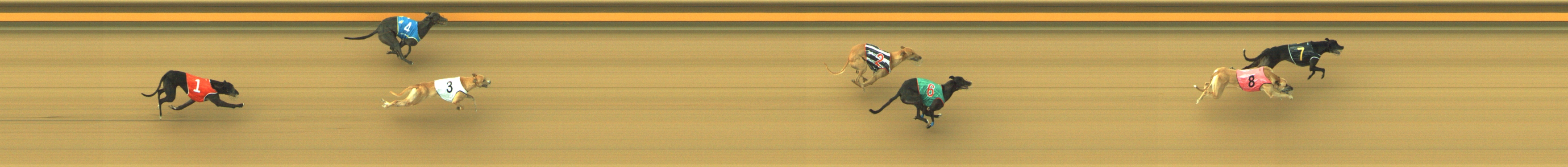 Photo finish for Geelong Race 11