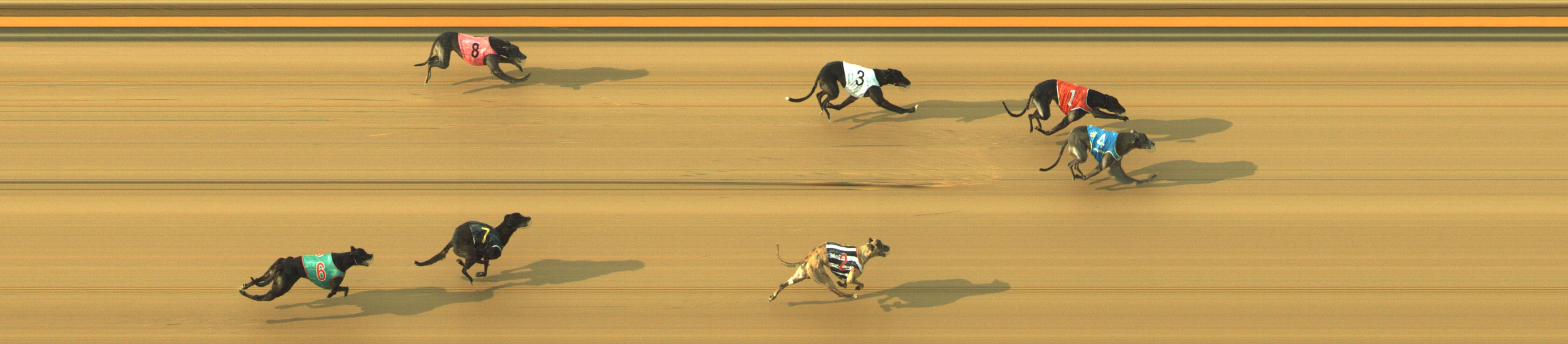 Photo finish for Geelong Race 12