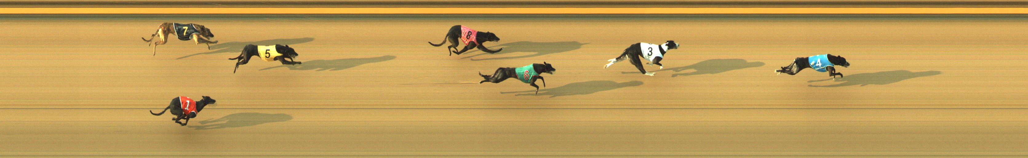 Photo finish for Geelong Race 13