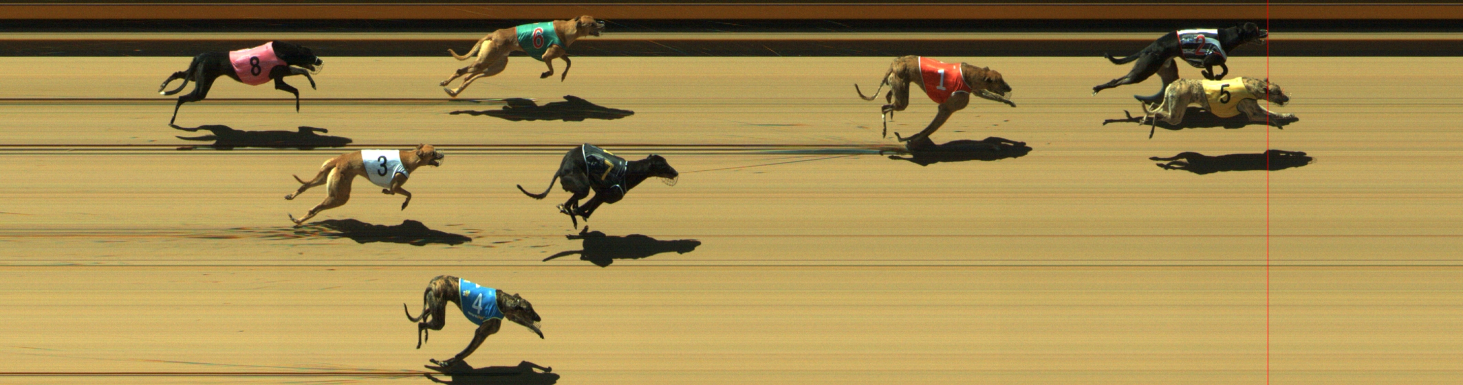 Photo finish for Geelong Race 1