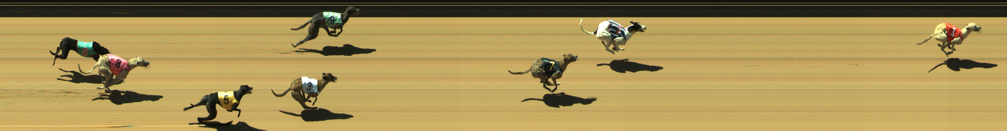 Photo finish for Geelong Race 2