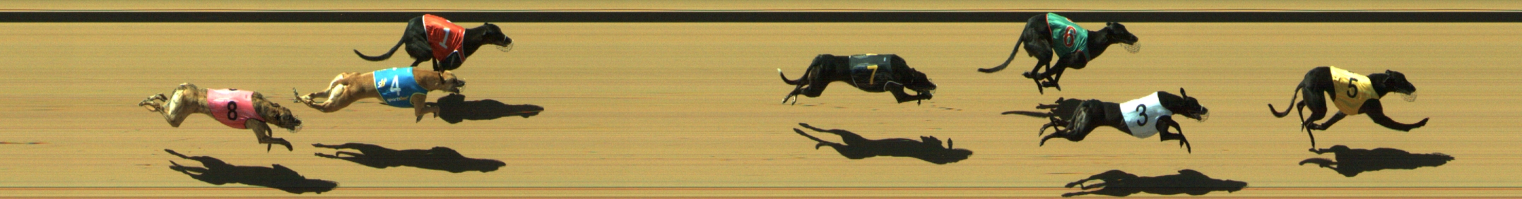 Photo finish for Geelong Race 3