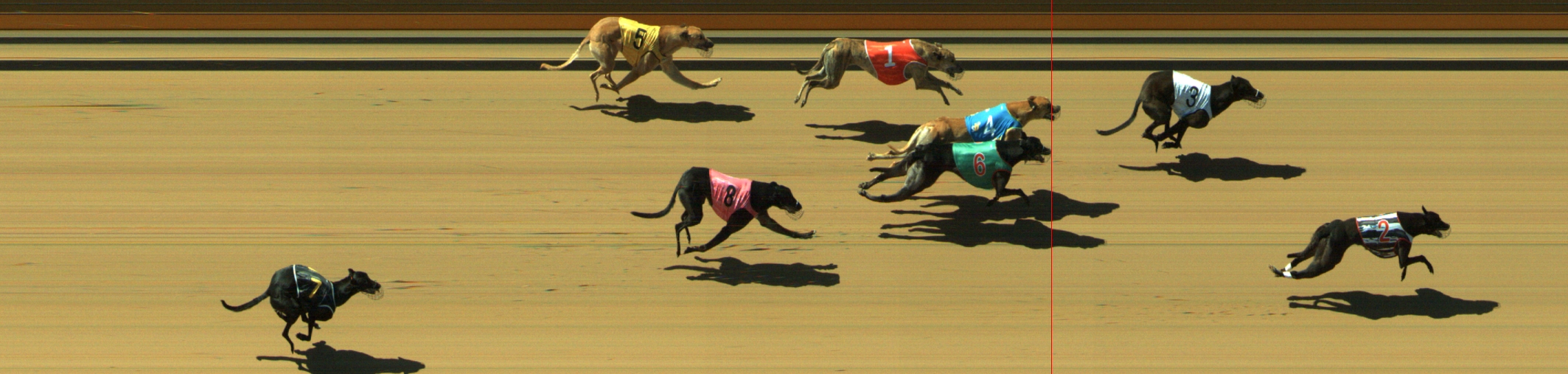 Photo finish for Geelong Race 4