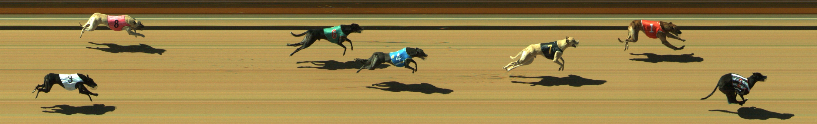 Photo finish for Geelong Race 5