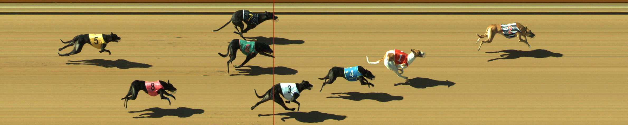 Photo finish for Geelong Race 7