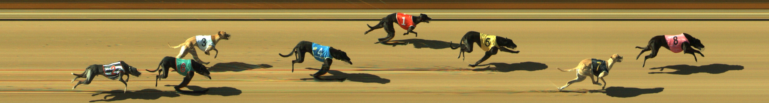 Photo finish for Geelong Race 8
