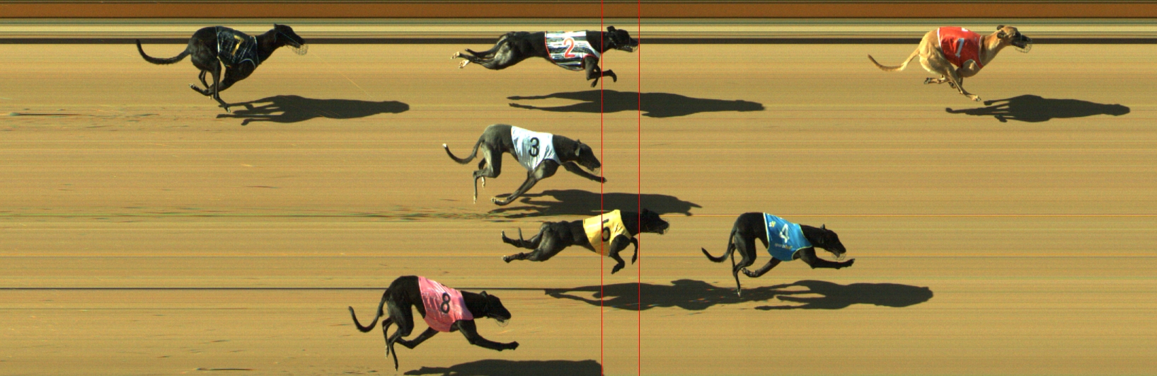 Photo finish for Geelong Race 9