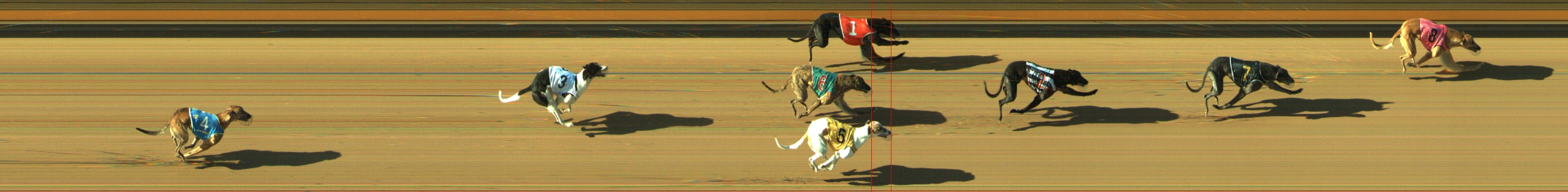 Photo finish for Geelong Race 10