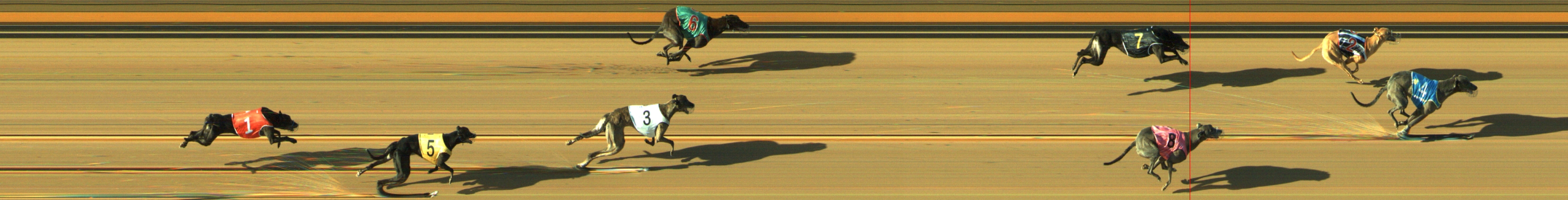 Photo finish for Geelong Race 11