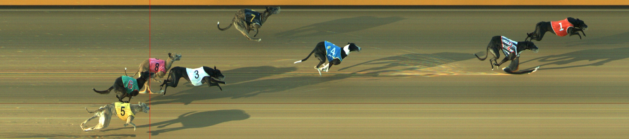 Photo finish for Geelong Race 13