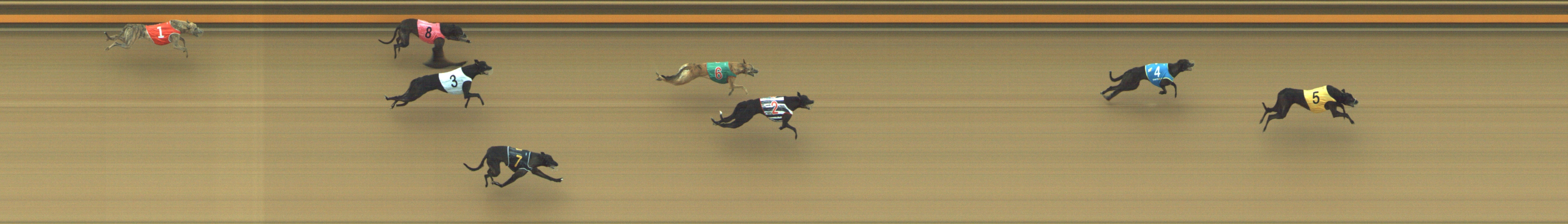Photo finish for Geelong Race 1