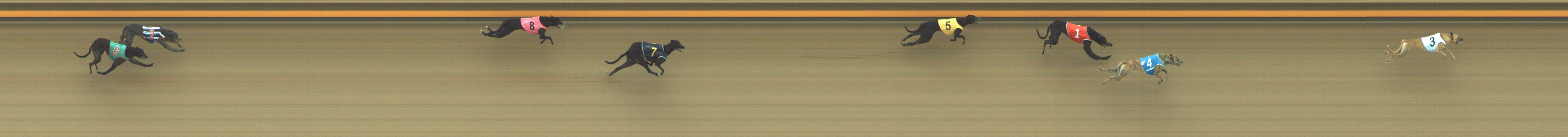 Photo finish for Geelong Race 2