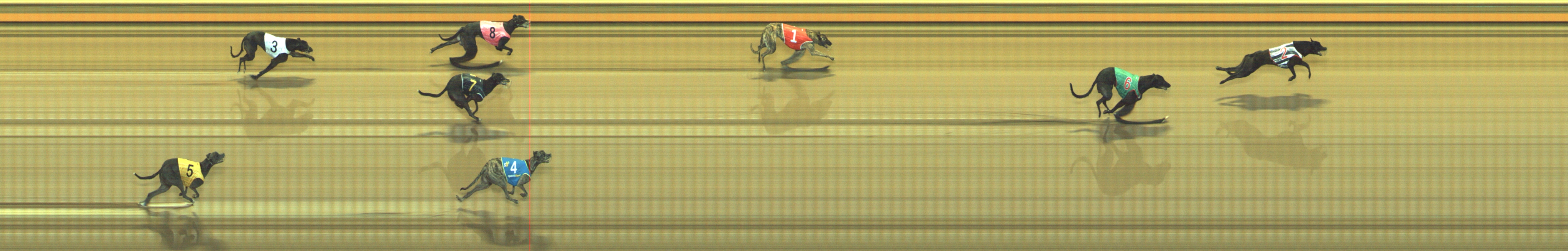 Photo finish for Geelong Race 3