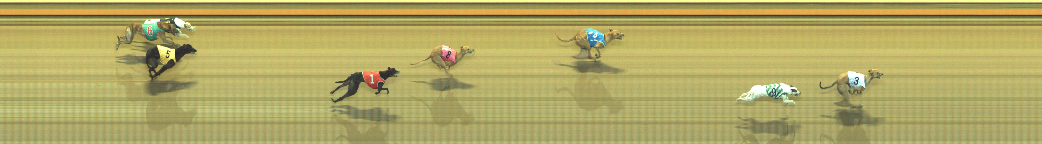 Photo finish for Geelong Race 4