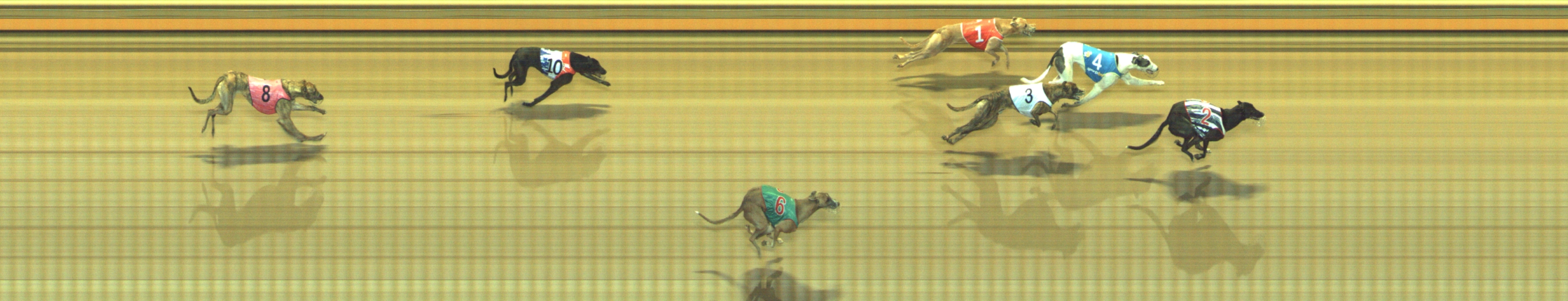 Photo finish for Geelong Race 5