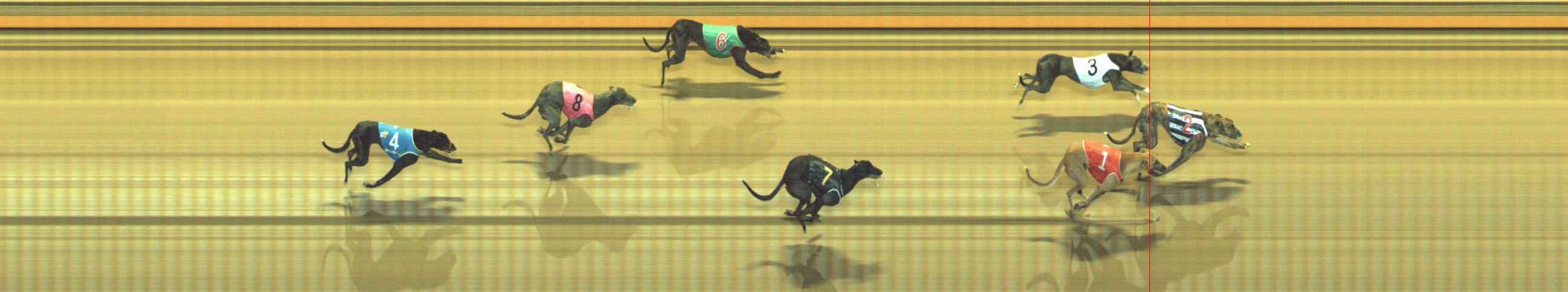 Photo finish for Geelong Race 6