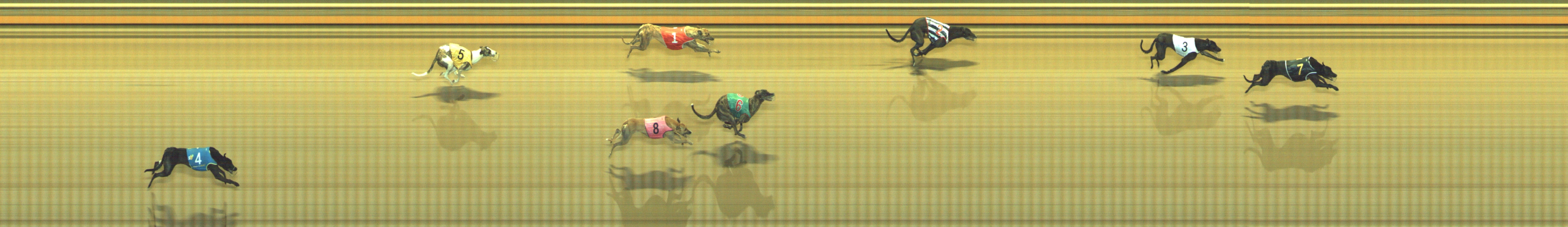 Photo finish for Geelong Race 7