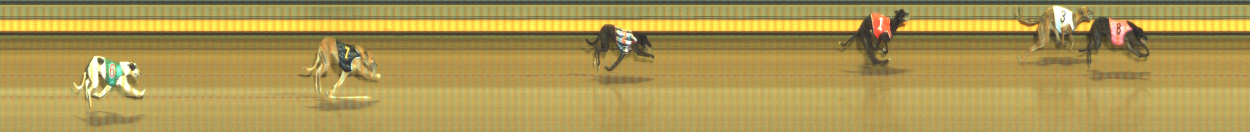 Photo finish for Geelong Race 8