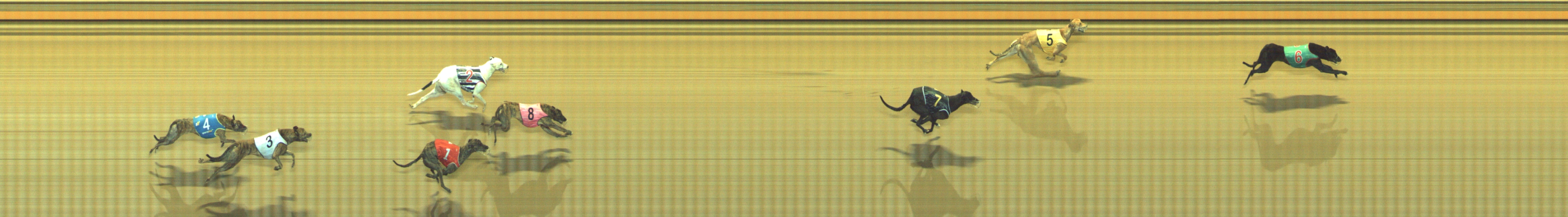 Photo finish for Geelong Race 9