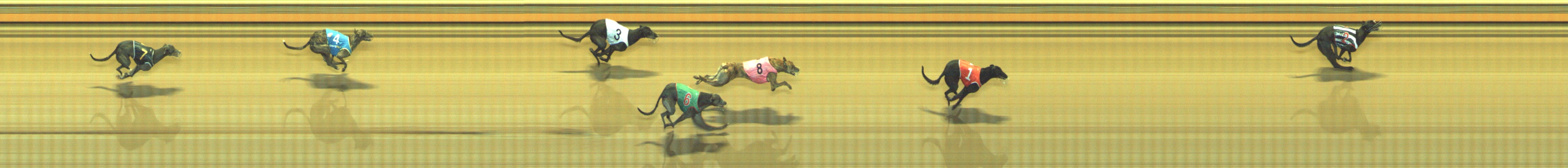 Photo finish for Geelong Race 10