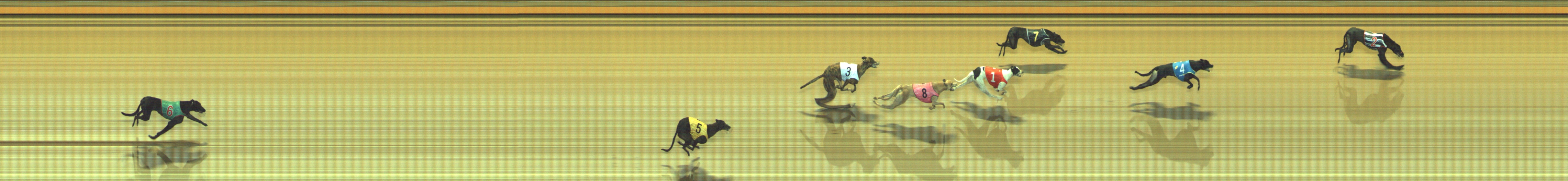Photo finish for Geelong Race 11