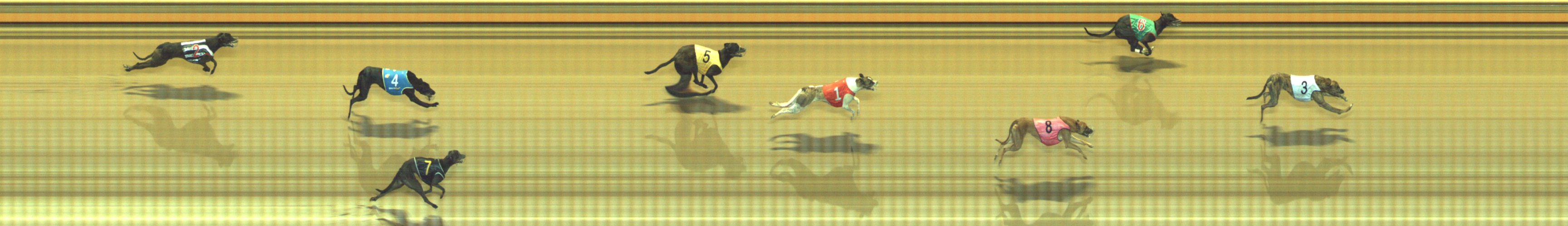 Photo finish for Geelong Race 12