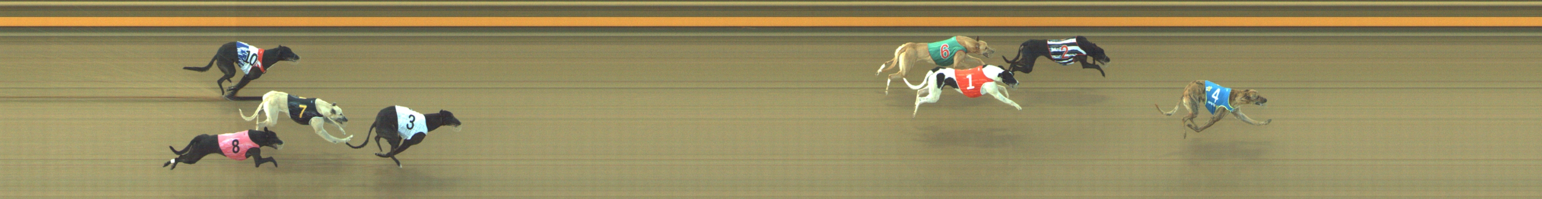 Photo finish for Geelong Race 2