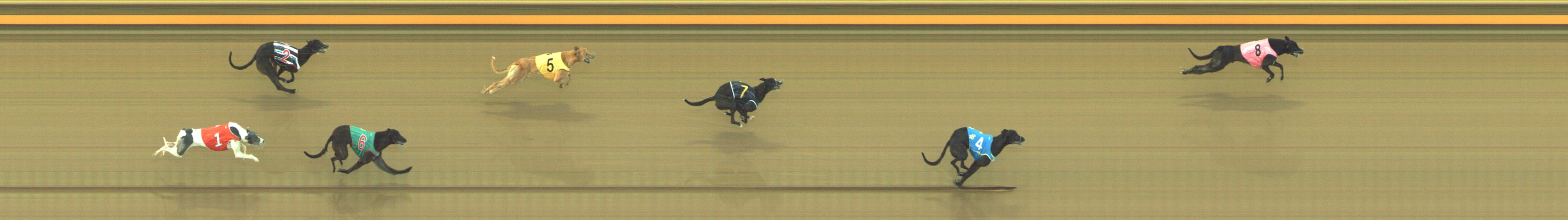 Photo finish for Geelong Race 3