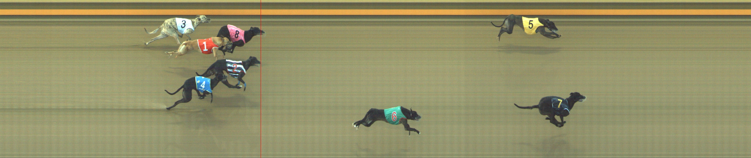 Photo finish for Geelong Race 4