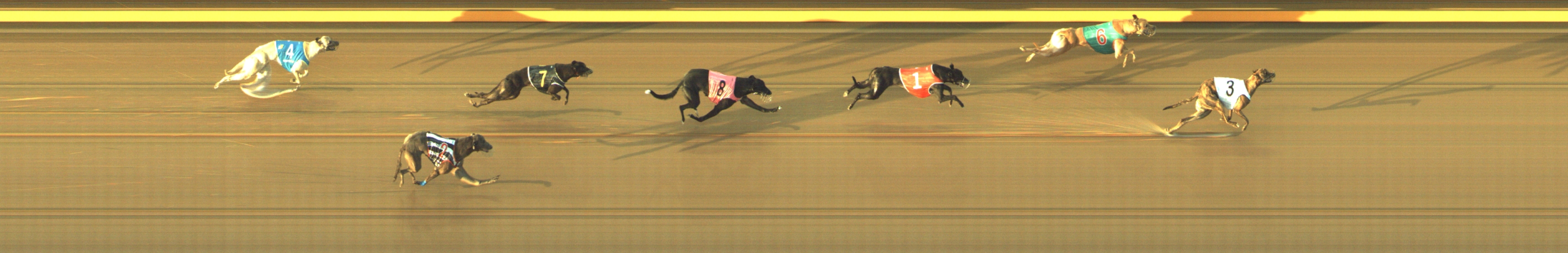 Photo finish for Geelong Race 5