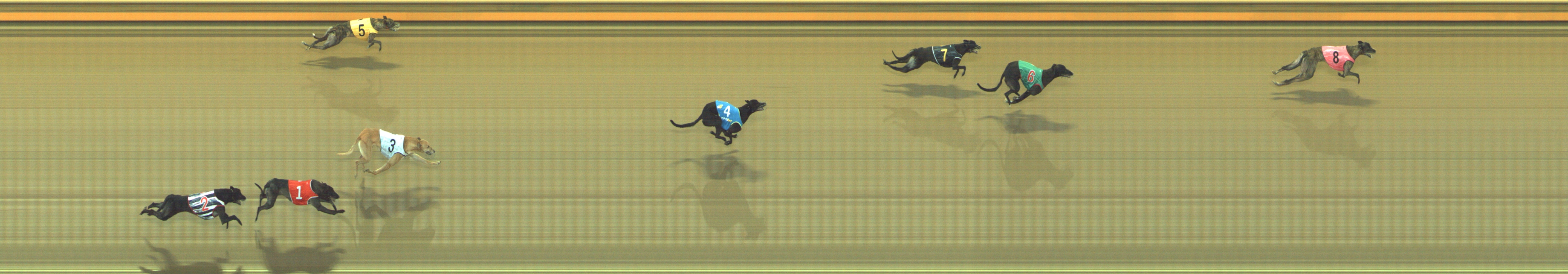 Photo finish for Geelong Race 6