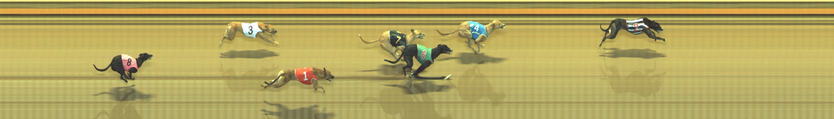 Photo finish for Geelong Race 7