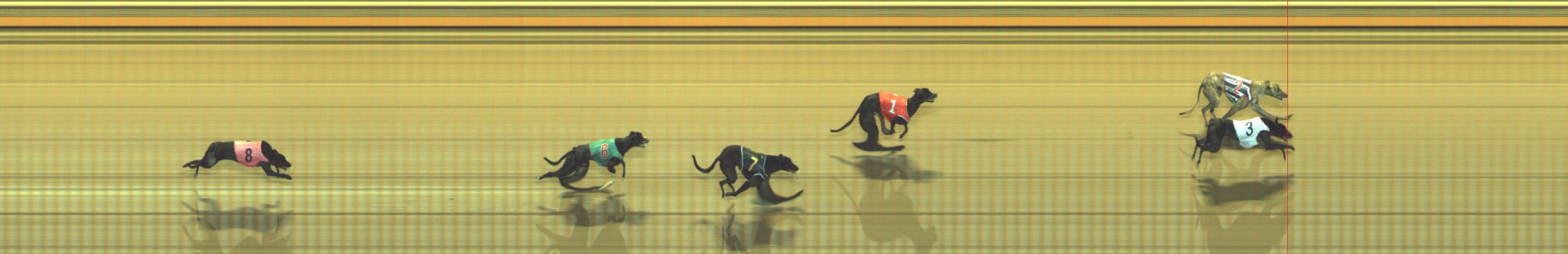 Photo finish for Geelong Race 9