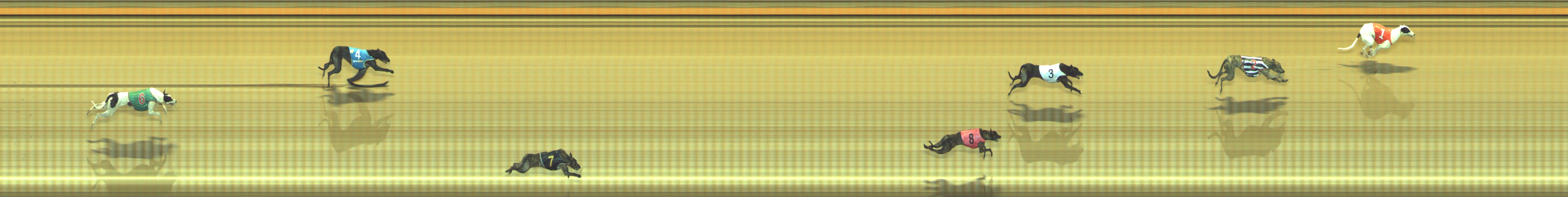 Photo finish for Geelong Race 10