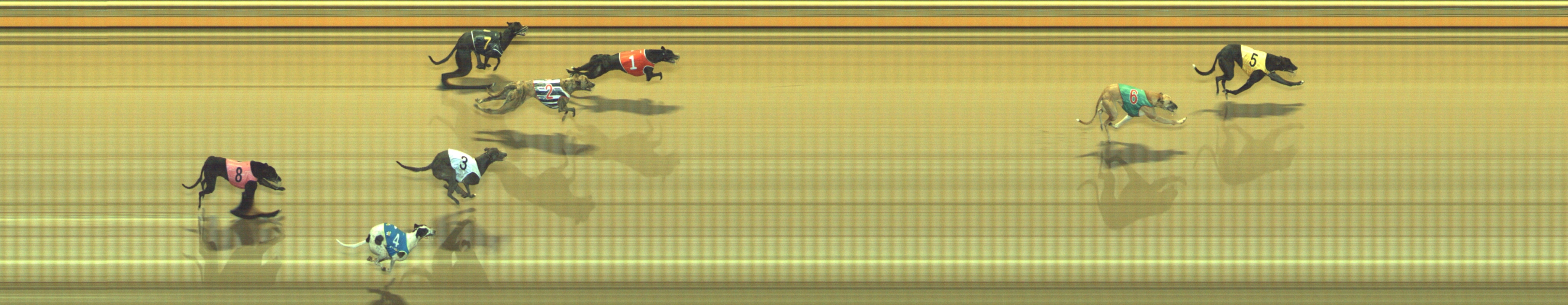 Photo finish for Geelong Race 11
