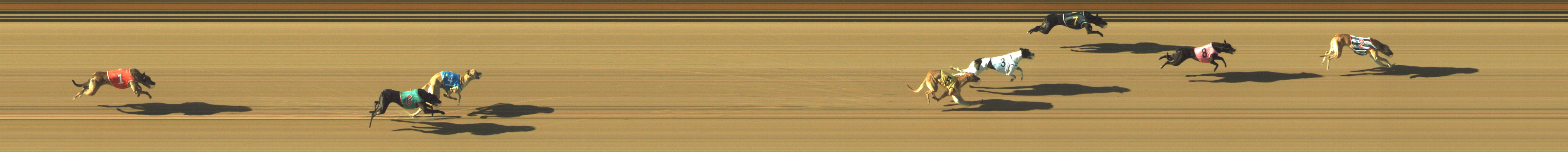 Photo finish for Geelong Race 1