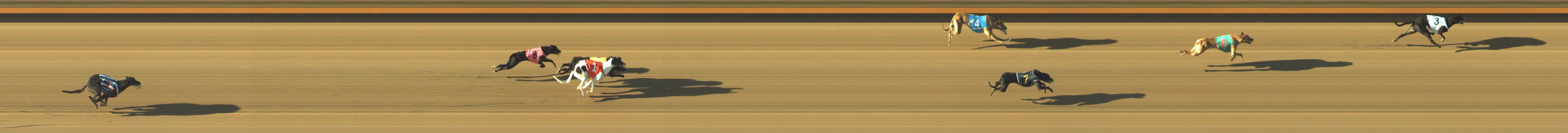 Photo finish for Geelong Race 2