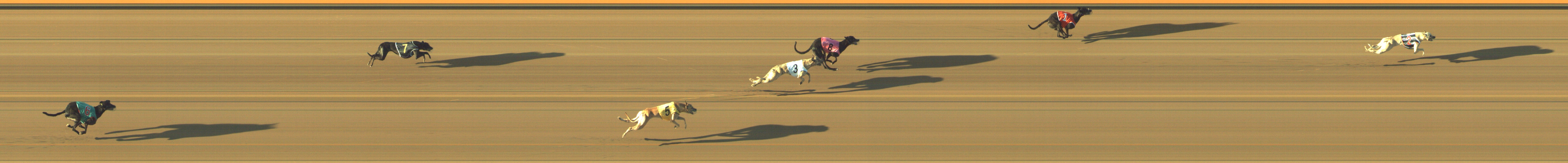 Photo finish for Geelong Race 3