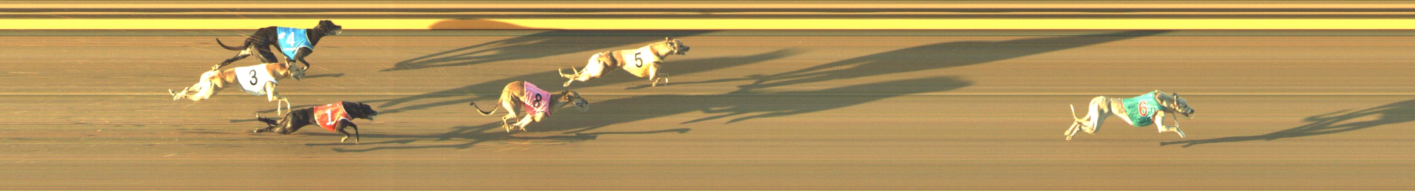 Photo finish for Geelong Race 4