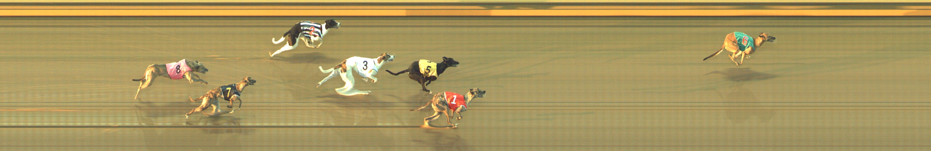 Photo finish for Geelong Race 5